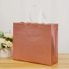 Golden Silver Laser Non Woven Bag,  Shopping Bag